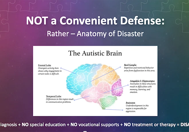autism defense
